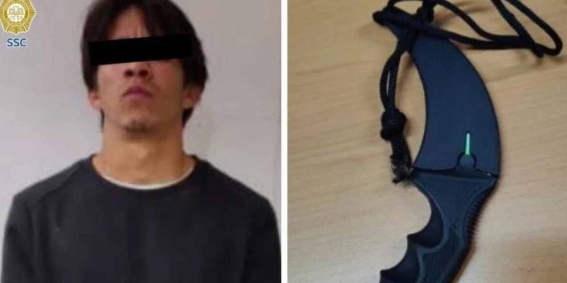 Detienen a un hombre por acuchillar a un perro en GAM