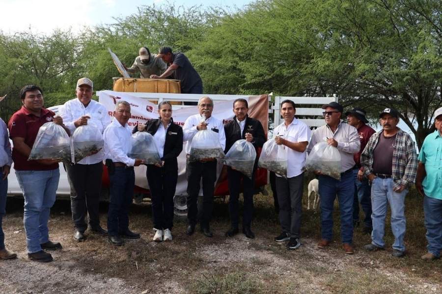 liberación de alevines de tilapia en jiménez