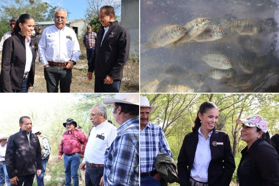 liberación de alevines de tilapia en jiménez