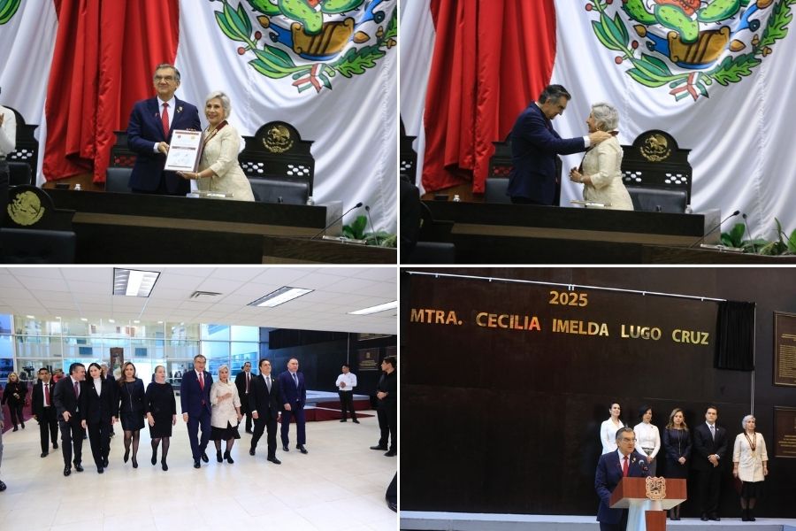 medalla al mérito a cecilia imelda