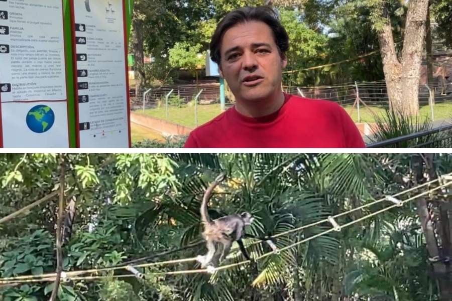 monos araña rescatados Ciudad Victoria
