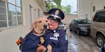 perro rescatado por Tránsito Tampico