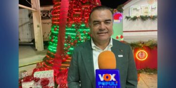 pino navideño gigante Ciudad Victoria