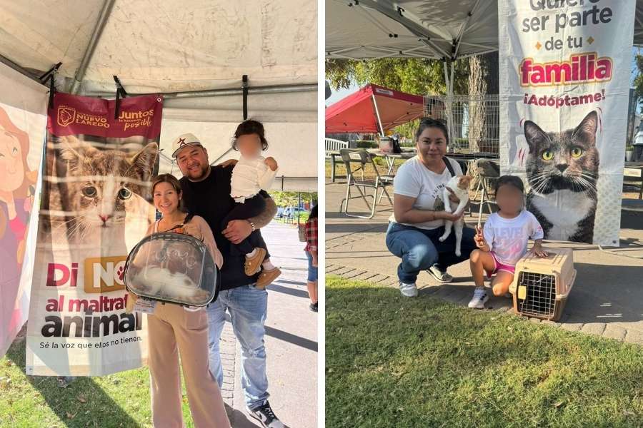 Programa de bienestar animal en Nuevo Laredo protege mascotas