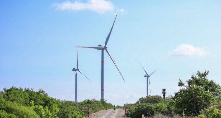proyectos eléctricos para Tamaulipas