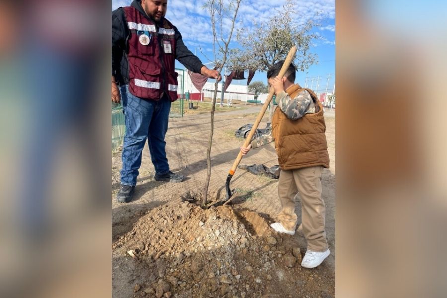 reforestación en plaza nuevo laredo