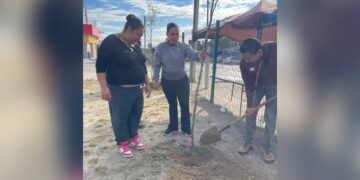reforestación en plaza nuevo laredo