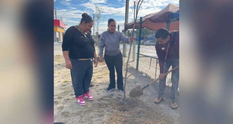 reforestación en plaza nuevo laredo