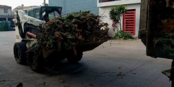 refuerzan recolección de basura en Tampico