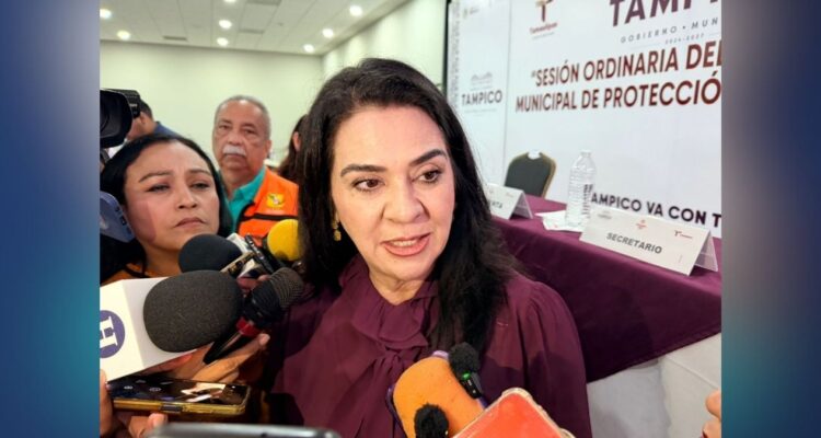 reglas vendedores ambulantes Tampico