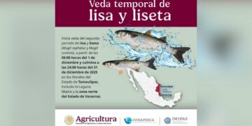 termina veda de lisa Tamaulipas