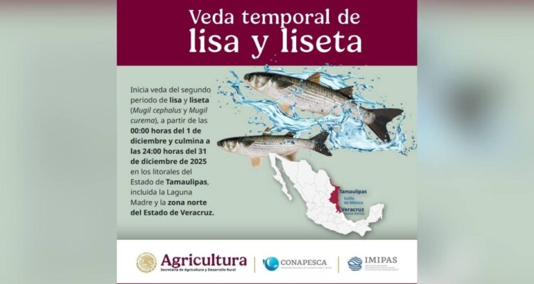termina veda de lisa Tamaulipas