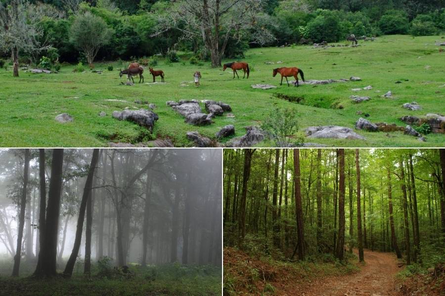 turismo en biosfera de el cielo tamaulipas