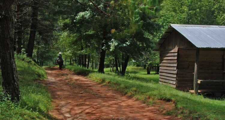 turismo en biosfera de el cielo tamaulipas
