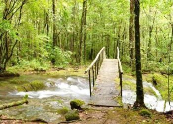 turismo responsable en Tamaulipas
