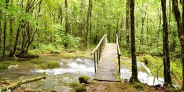 turismo responsable en Tamaulipas