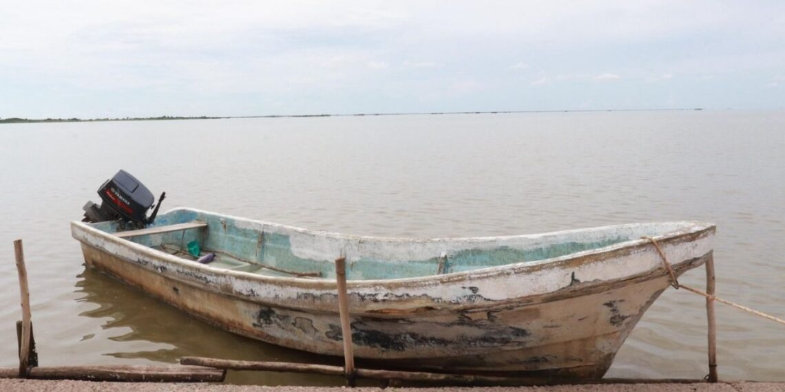 veda de lisa diciembre Tamaulipas
