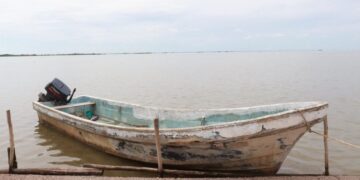 veda de lisa diciembre Tamaulipas