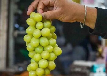 ¿Por qué comemos 12 uvas en Año Nuevo?