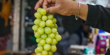 ¿Por qué comemos 12 uvas en Año Nuevo?