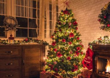 ¿Qué árbol de Navidad conviene más según tu casa y presupuesto?