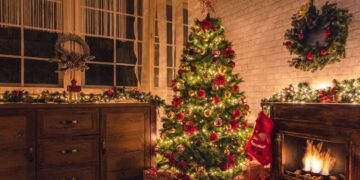 ¿Qué árbol de Navidad conviene más según tu casa y presupuesto?