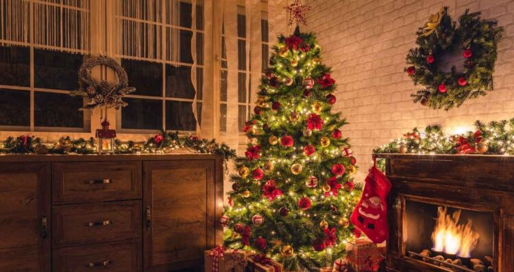 ¿Qué árbol de Navidad conviene más según tu casa y presupuesto?