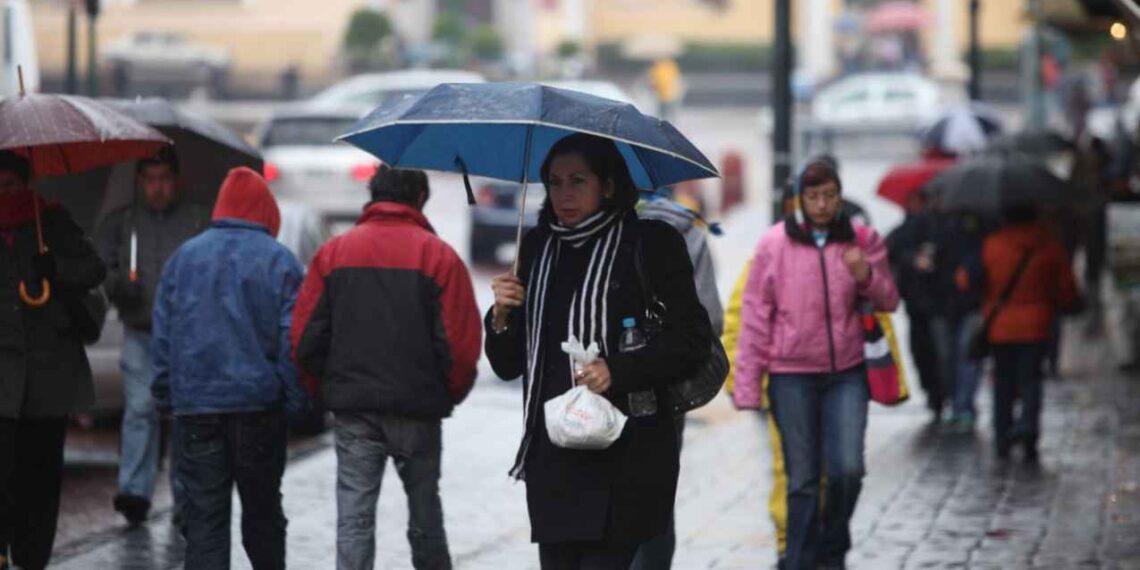 Tamaulipas clima martes