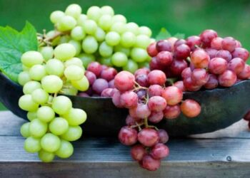 ¿Rojas o verdes Descubre qué uvas elegir para el Año Nuevo
