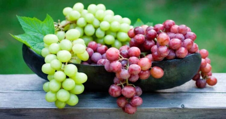 ¿Rojas o verdes Descubre qué uvas elegir para el Año Nuevo