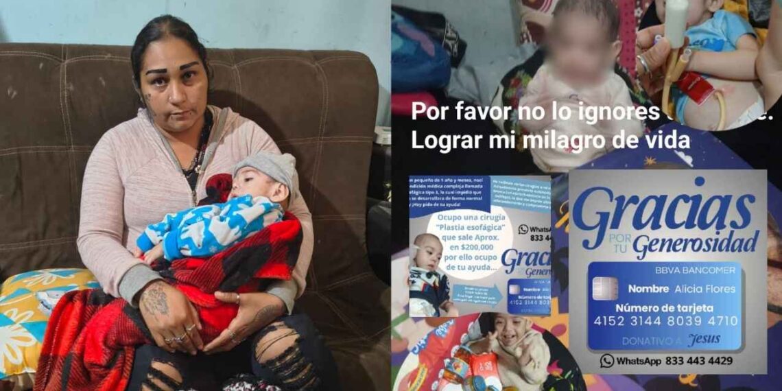 Altamira la lucha de un abuelo