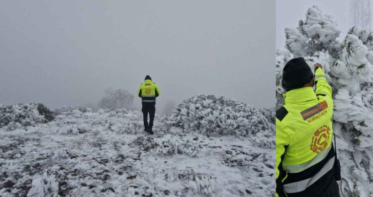 Así luce la nieve en la Cumbre del Cerro El Potosí en Galeana, Nuevo León