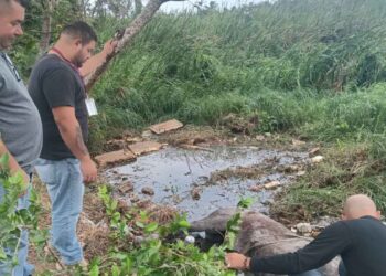 Atienden a caballo en Madero