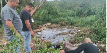 Atienden a caballo en Madero