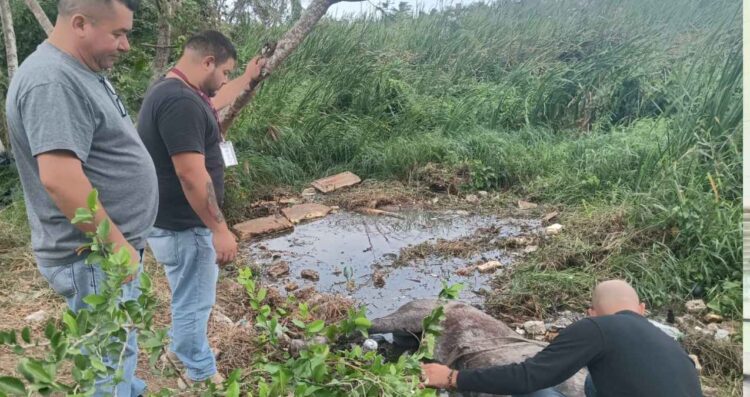 Atienden a caballo en Madero