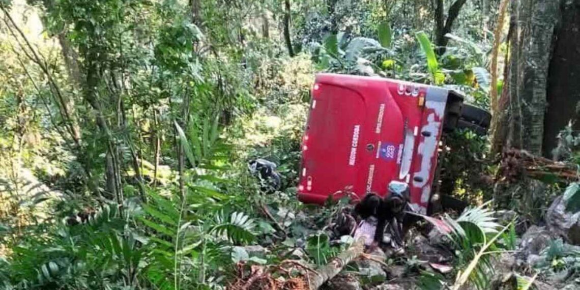 Naranjal autobús barranco