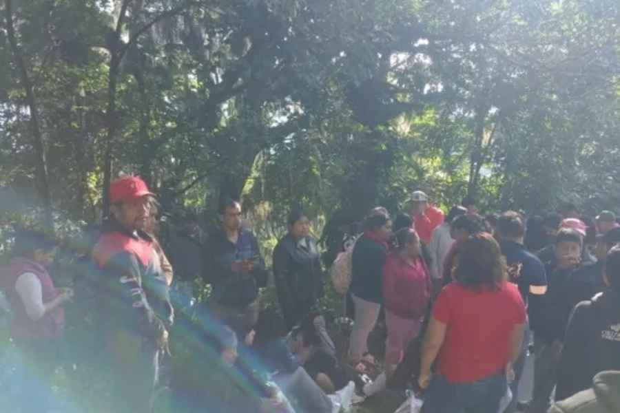 Naranjal autobús barranco