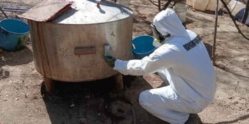 Autoridades desmantelan tres laboratorios clandestinos en Michoacán, Durango y Sinaloa