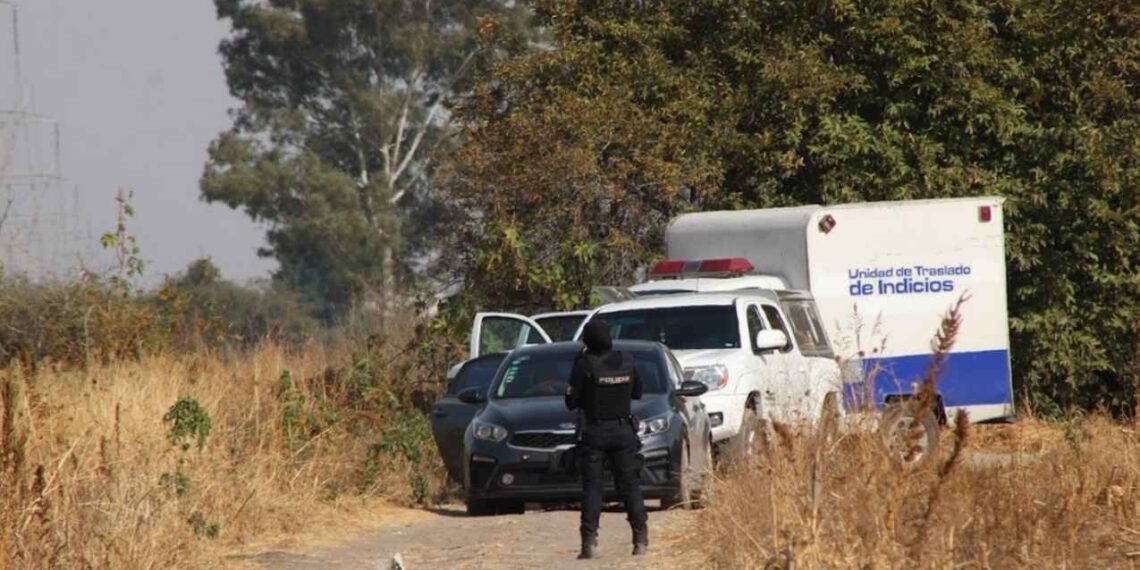 Autoridades reportan el hallazgo de 13 cuerpos en una fosa clandestina de Villagrán, Guanajuato