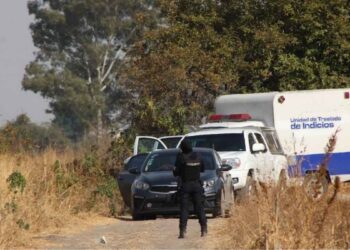Autoridades reportan el hallazgo de 13 cuerpos en una fosa clandestina de Villagrán, Guanajuato