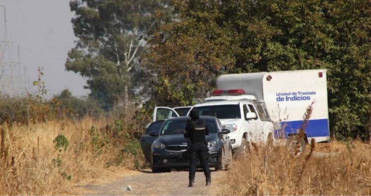 Autoridades reportan el hallazgo de 13 cuerpos en una fosa clandestina de Villagrán, Guanajuato
