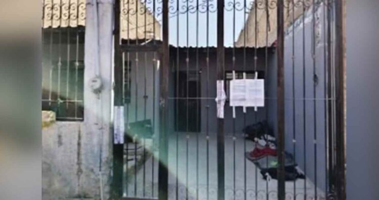 Cateo en Zapopan