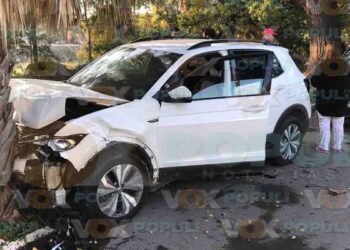 Conductor provoca choque y proyecta camioneta contra palmera en Ciudad Victoria, Tamaulipas
