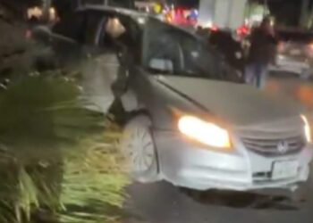 Conductor se estrella contra una palmera en Matamoros, Tamaulipas