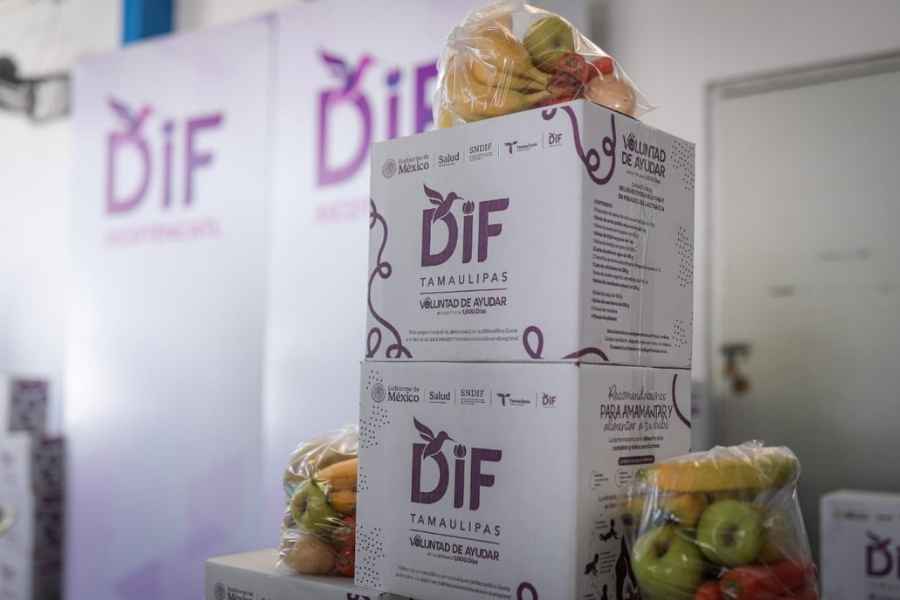DIF Tamaulipas entregará apoyos anticipados a familias vulnerables ante frentes fríos