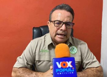 Fin de la regularización en autos extranjeros sorprende a propietarios en Tamaulipas
