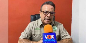 Fin de la regularización en autos extranjeros sorprende a propietarios en Tamaulipas