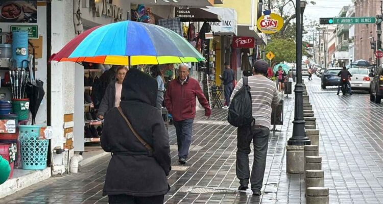 Frente frío 2026 Tampico