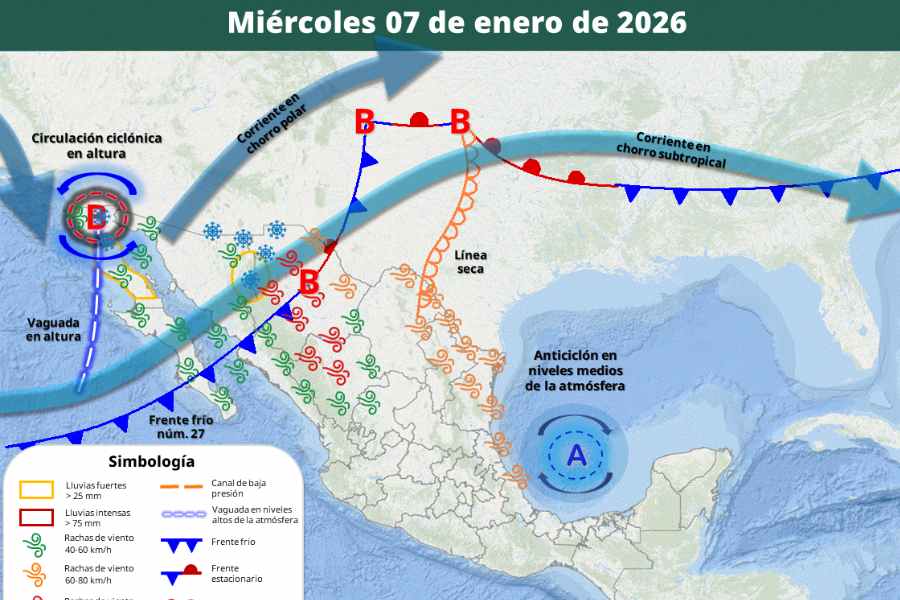 Frío mañana en México (1)