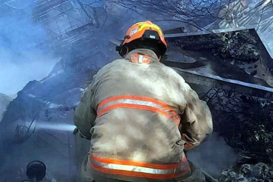 incendio tejabanes animales Juárez